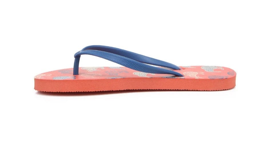 Local Kiwi Deals Homeware Kiwi Sketch Jandals (TANGERINE)