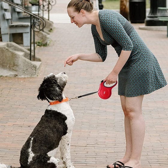 Local Kiwi Deals TwoEar: Retractable Dog Leash with Dispenser and Poop Bags - Red