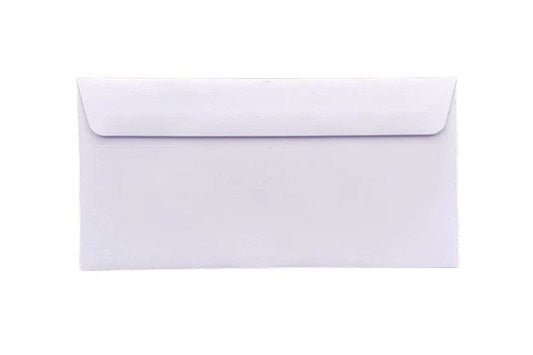 Local Kiwi Deals BULK BUY 45x20pcs Business Mailing Plain DLE Envelopes 110 X 220MM (PAPER)