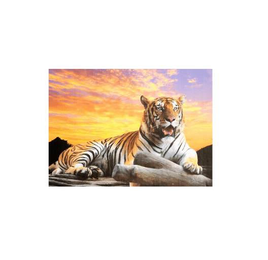 Local Kiwi Deals Crown Tiger At Sunset 1000pc Puzzle