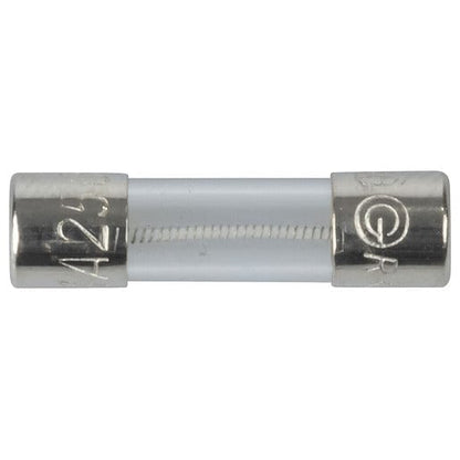 Local Kiwi Deals Electronics 500MA M205 Slow Blow Fuse 250VAC 1 PACK
