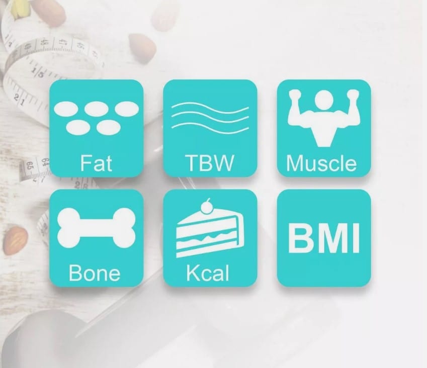 Local Kiwi Deals FitSmart Electronic Floor Body Scale