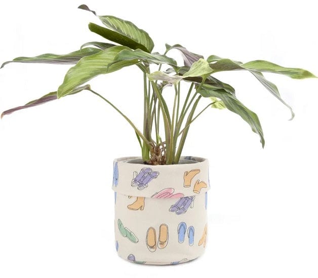 Local Kiwi Deals Helena Planter
