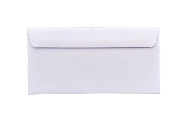 Local Kiwi Deals Homeware 20pcs Business Mailing Plain DLE Envelopes  110 X 220MM (PAPER)