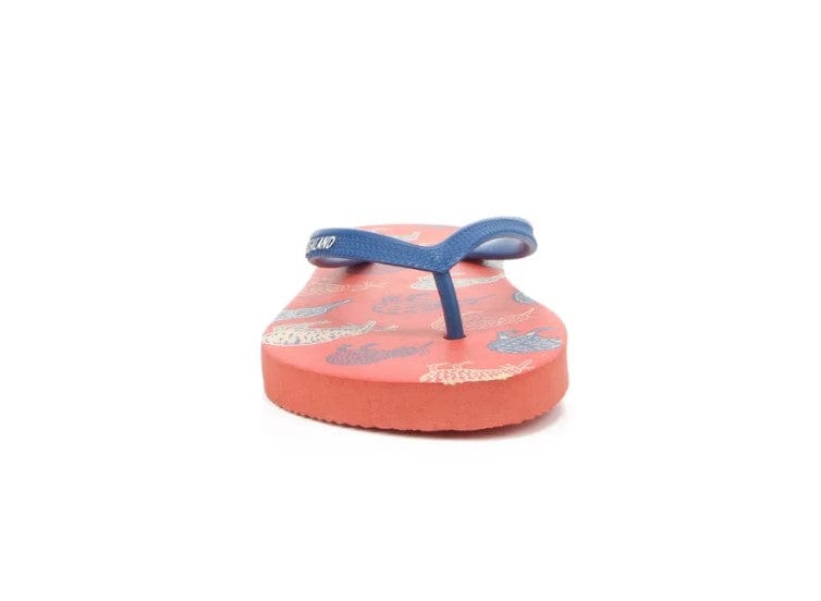 Local Kiwi Deals Homeware Kiwi Sketch Jandals (TANGERINE)