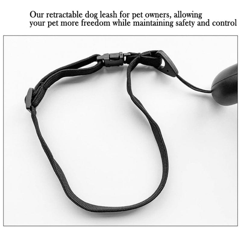 Local Kiwi Deals Retractable Lightweight LED Pet Leash - Medium/Large Dogs
