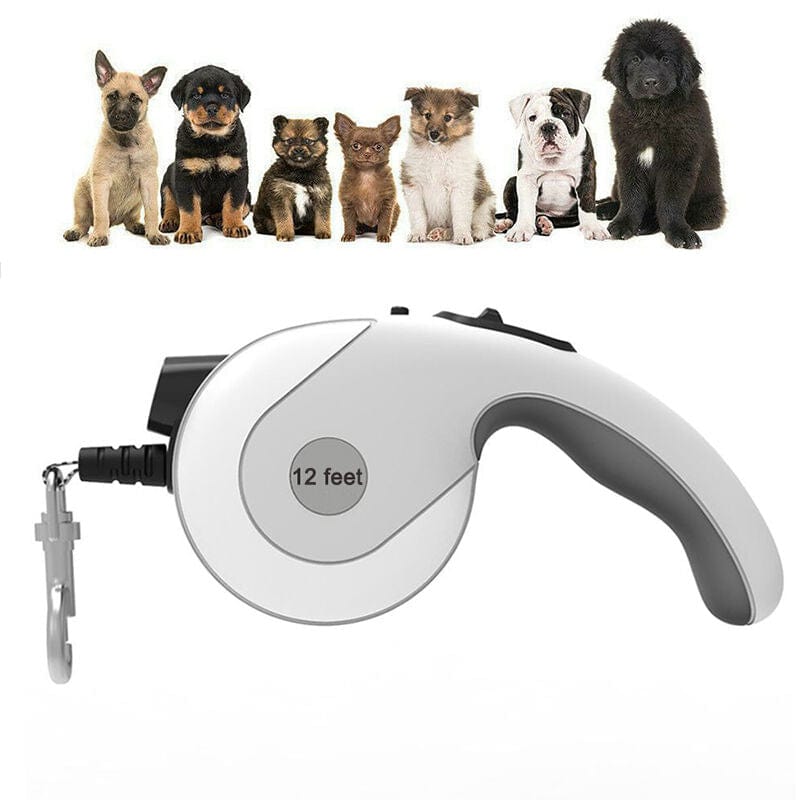 Local Kiwi Deals Retractable Lightweight LED Pet Leash - Medium/Large Dogs