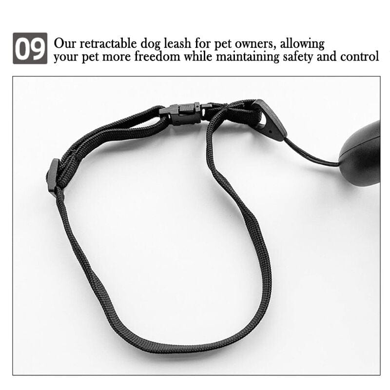 Local Kiwi Deals Retractable Lightweight LED Pet Leash - Medium/Large Dogs
